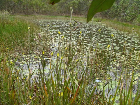 Back To The Bush - Accommodation Batemans Bay 3
