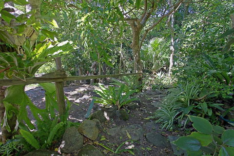 WategosRent - Accommodation Batemans Bay 5
