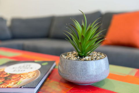 Urban Jungle In The Heart Of The CBD - Accommodation Batemans Bay 1