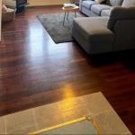 Honey At KI - Accommodation Batemans Bay 0