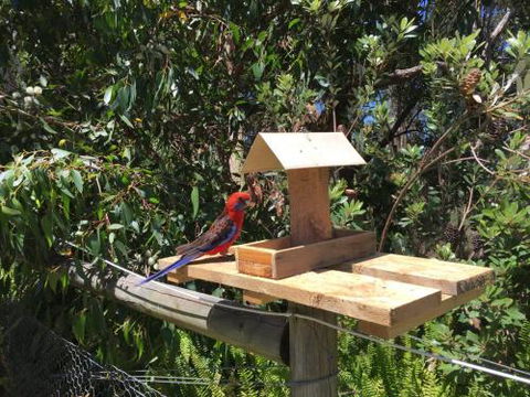Rosella Cottage Waratah Bay - Accommodation Batemans Bay 1