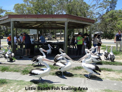 Rubys Retreat 44 Achilles Street - Accommodation Batemans Bay 4