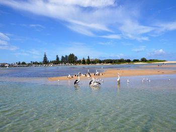 Ashley Court Unit 7 - Accommodation Batemans Bay 2