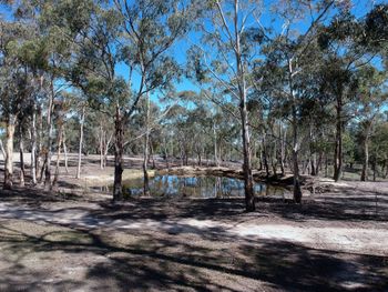 Big Tiny The Whispers - Accommodation Batemans Bay 3