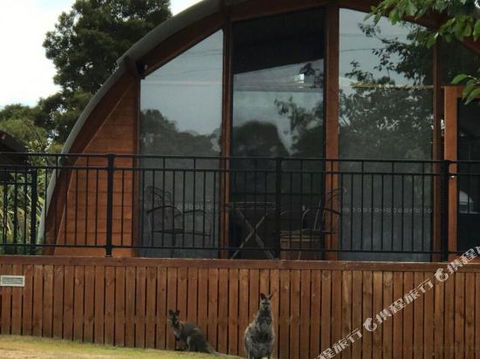 Bruny Island Accommodation 43 Degrees Beachside Studio Spa Apartments (1) - Accommodation Batemans Bay 1
