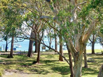 Nicholli Bay Parklands Unit 32 2 Gowrie Avenue - Accommodation Batemans Bay 3