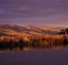 Wombat Hills Cottages - Accommodation Batemans Bay