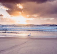 Blue Waters Motel - Accommodation Batemans Bay