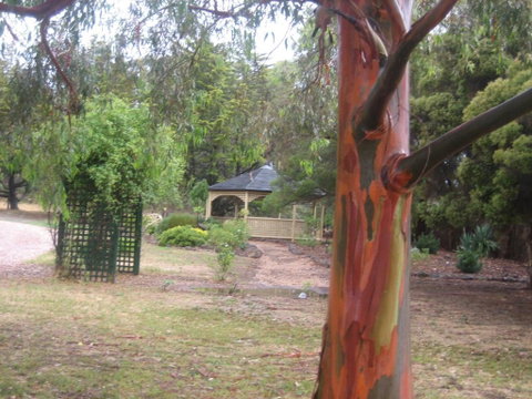Golden Hills Motel - Accommodation Batemans Bay 6