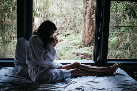Woodlands Rainforest Retreat - Accommodation Batemans Bay 5