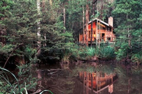 Woodlands Rainforest Retreat - Accommodation Batemans Bay 0