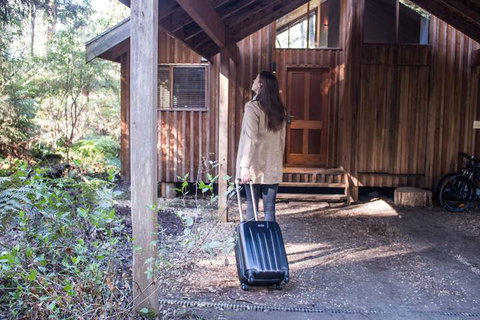 Woodlands Rainforest Retreat - Accommodation Batemans Bay 1