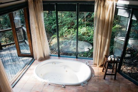 Woodlands Rainforest Retreat - Accommodation Batemans Bay 7