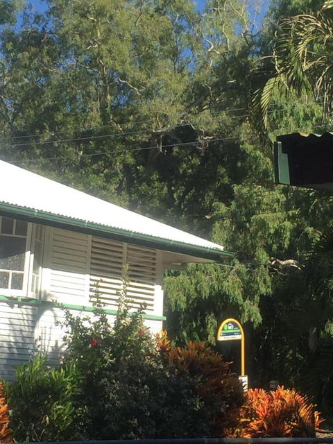 Daggoombah Holiday Home Magnetic Island - Accommodation Batemans Bay 6