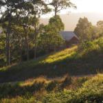 Bundle Hill Cottages - Accommodation Batemans Bay 0