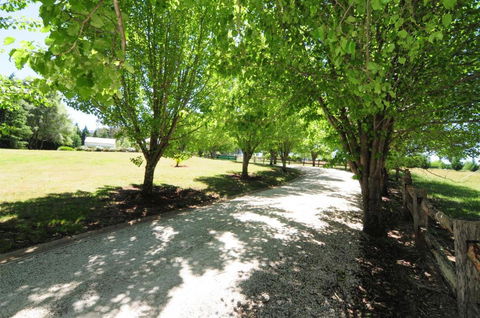 Daisy Cottage - Accommodation Batemans Bay 7