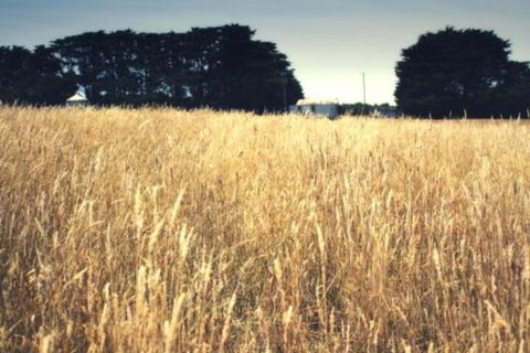 Galwiji Homestead - Accommodation Batemans Bay 6