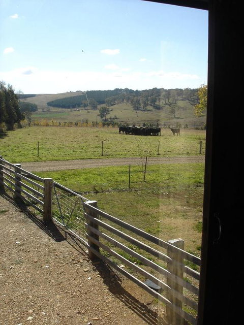 Black Sheep Inn - Accommodation Batemans Bay 3