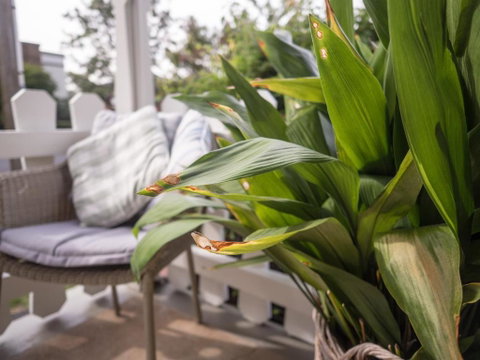 Cottage 79 - Accommodation Batemans Bay 5
