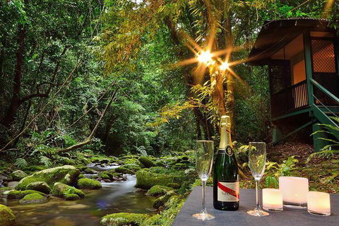 Misty Mountains Rainforest Retreat - Accommodation Batemans Bay 3