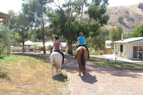 Halls On Falls Homestead - Accommodation Batemans Bay 1