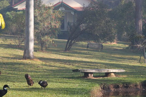 Telegraph Retreat Cottages - Accommodation Batemans Bay 6