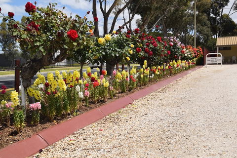 Big River Motel - Accommodation Batemans Bay 5