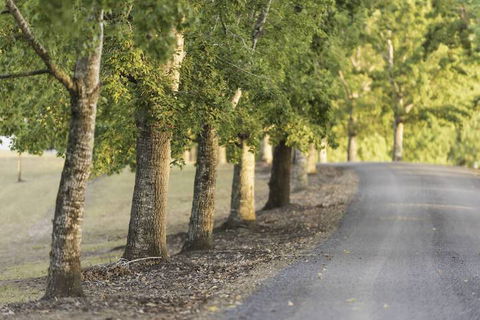 Clarendon Forest Retreat - Accommodation Batemans Bay 3