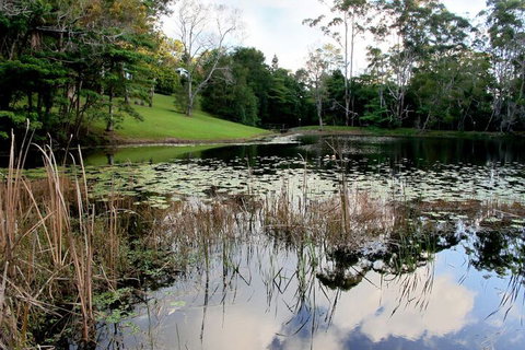 Montville Country Cabins - Accommodation Batemans Bay 2