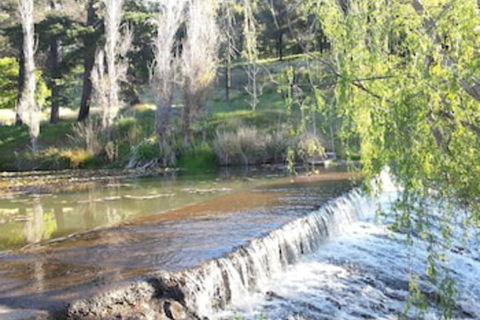 Avocados Accommodation - Accommodation Batemans Bay 0