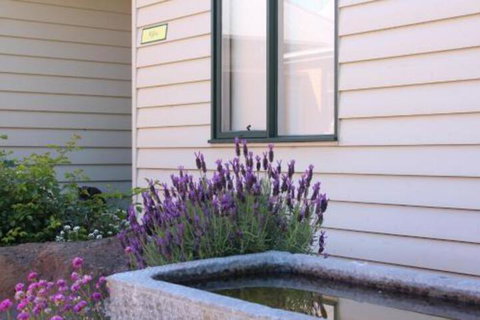 Woodend Old School House - Accommodation Batemans Bay 7