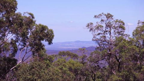 Ravensbourne Escape Cedar Lodge - Accommodation Batemans Bay 5
