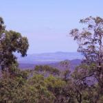 Ravensbourne Escape Cedar Lodge - Accommodation Batemans Bay 0