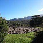 Hawksview At Mafeking - Accommodation Batemans Bay 0