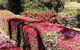 Kiwarrak Country Retreat - thumb 5