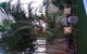 Rosebourne Gardens Motel - thumb 2