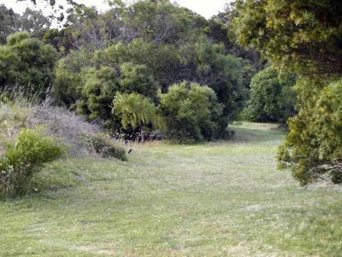 Absolute Waterfront Cottage - Accommodation Batemans Bay 3