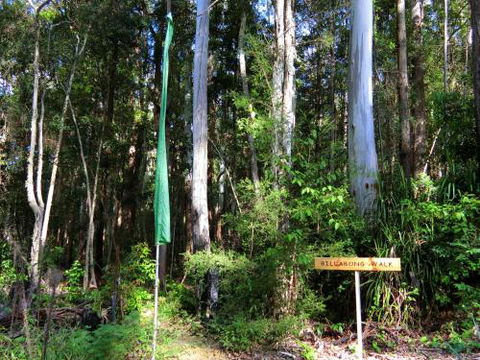 Yarralen Retreat - Accommodation Batemans Bay 4
