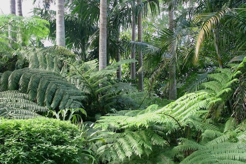 Amore Mt Tamborine - Accommodation Batemans Bay 1