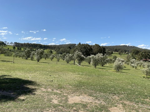 Hunter Homestead - Accommodation Batemans Bay 0
