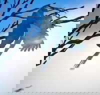 Tenterfield Cottage Holiday House - Accommodation Batemans Bay