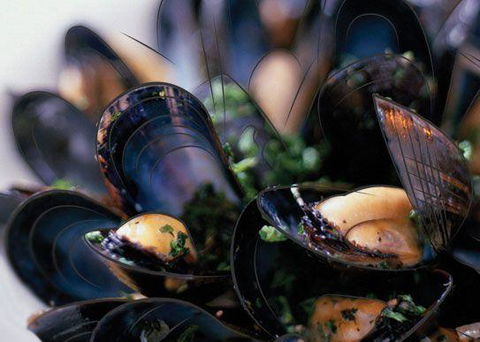 Peppermint Bay - Bar, Dining And Terrace - Accommodation Batemans Bay 6
