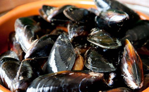 Tapas Tapas Bodega - Accommodation Batemans Bay 13