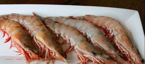 Tapas Tapas Bodega - Accommodation Batemans Bay 22