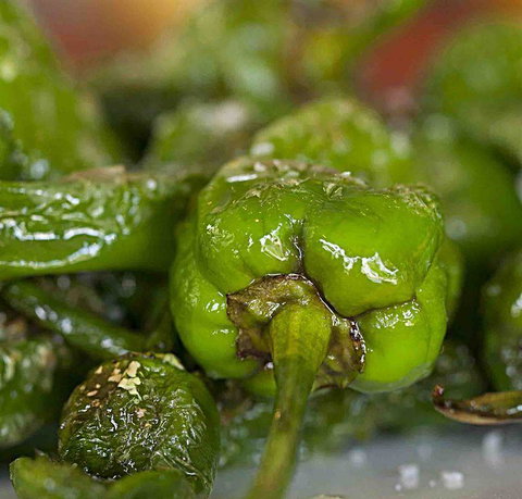 Tapas Tapas Bodega - Accommodation Batemans Bay 7