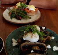 Brew - Accommodation Batemans Bay