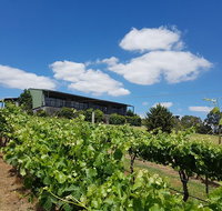 Traralgon Vineyard - Accommodation Batemans Bay