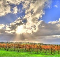 Max's at Red Hill Estate - Accommodation Batemans Bay