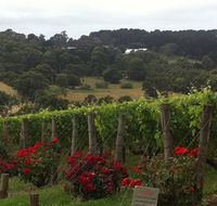 Paringa Estate - Accommodation Batemans Bay