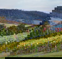 De Bortoli Winery  Restaurant - Accommodation Batemans Bay